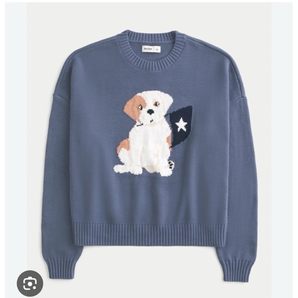 Hollister Womens Blue Puppy Dog Star Flag Intarsia Knit Crewneck Sweater Medium
